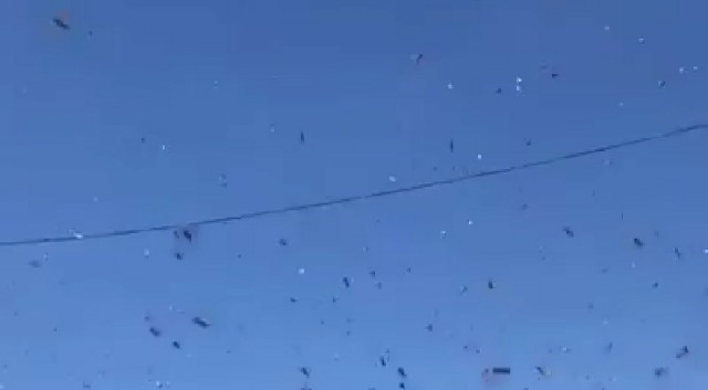 f:id:somin753:20190111082103j:image f:id:somin753:20190111082103j:image