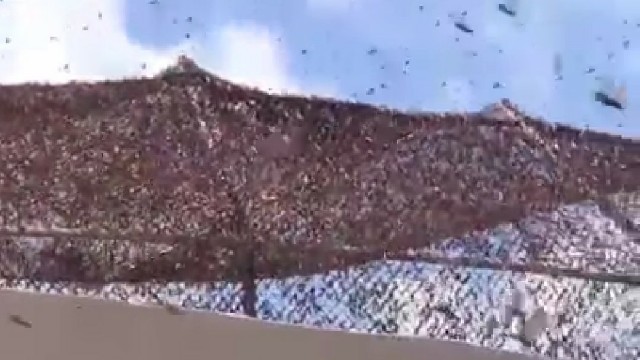 f:id:somin753:20190111082109j:image f:id:somin753:20190111082109j:image