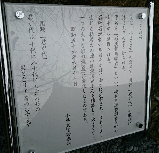 f:id:somin753:20190305164033j:image f:id:somin753:20190305164033j:image