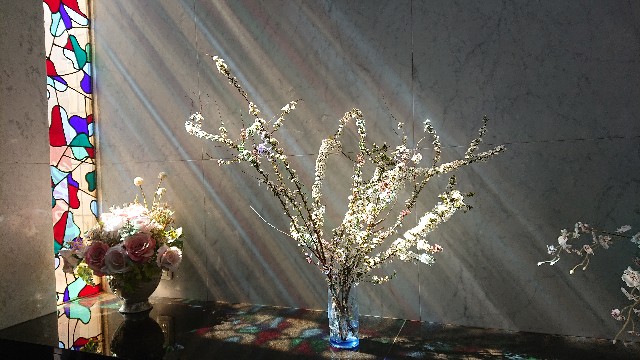 f:id:somin753:20190314115034j:image