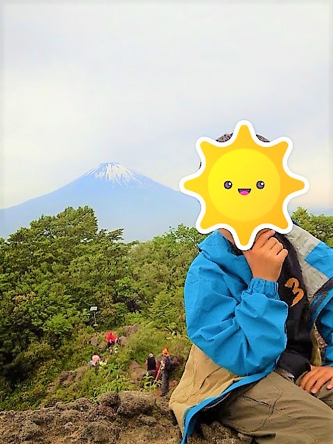 f:id:somnio:20190214225604j:plain