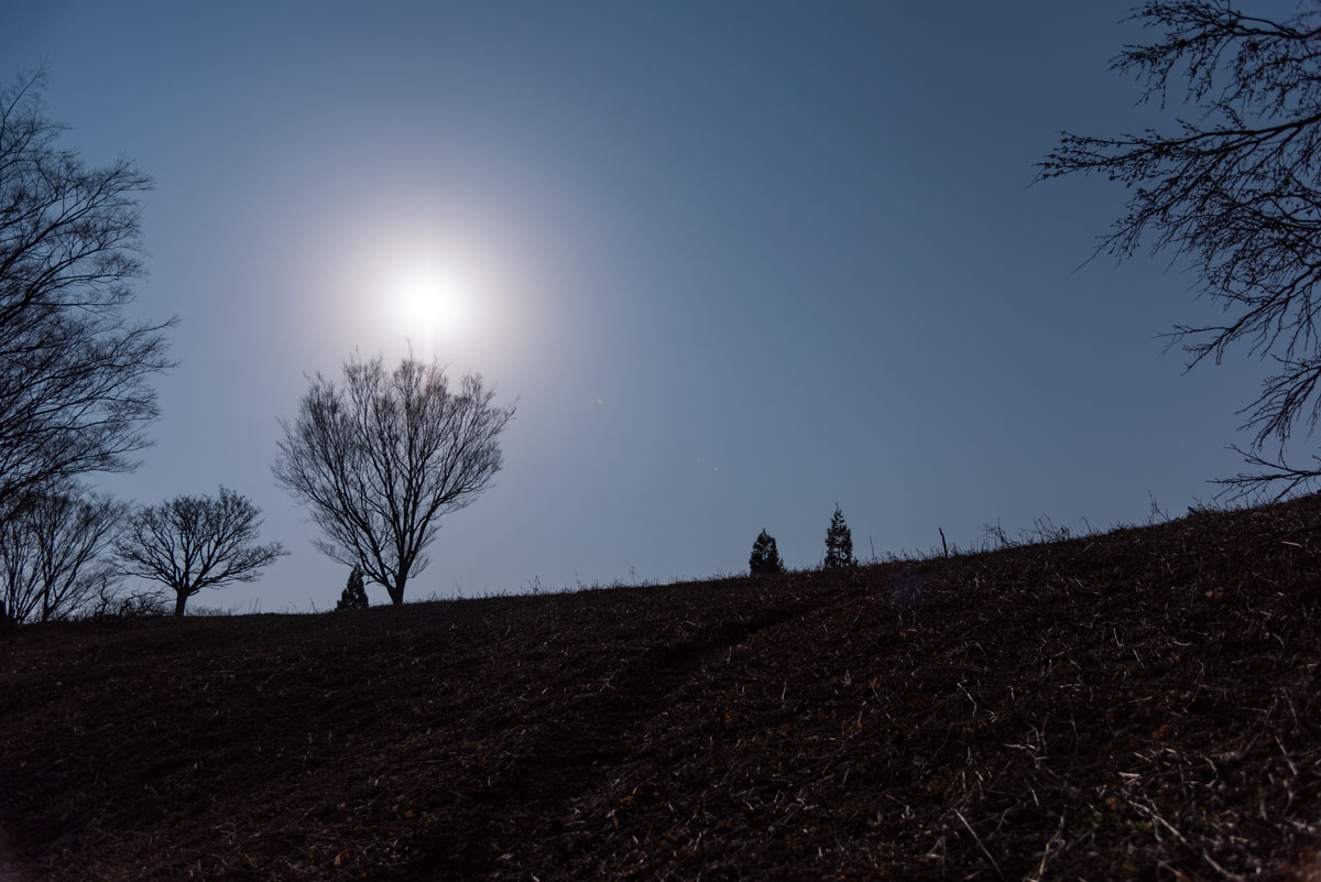 f:id:somugi:20190513193233j:plain