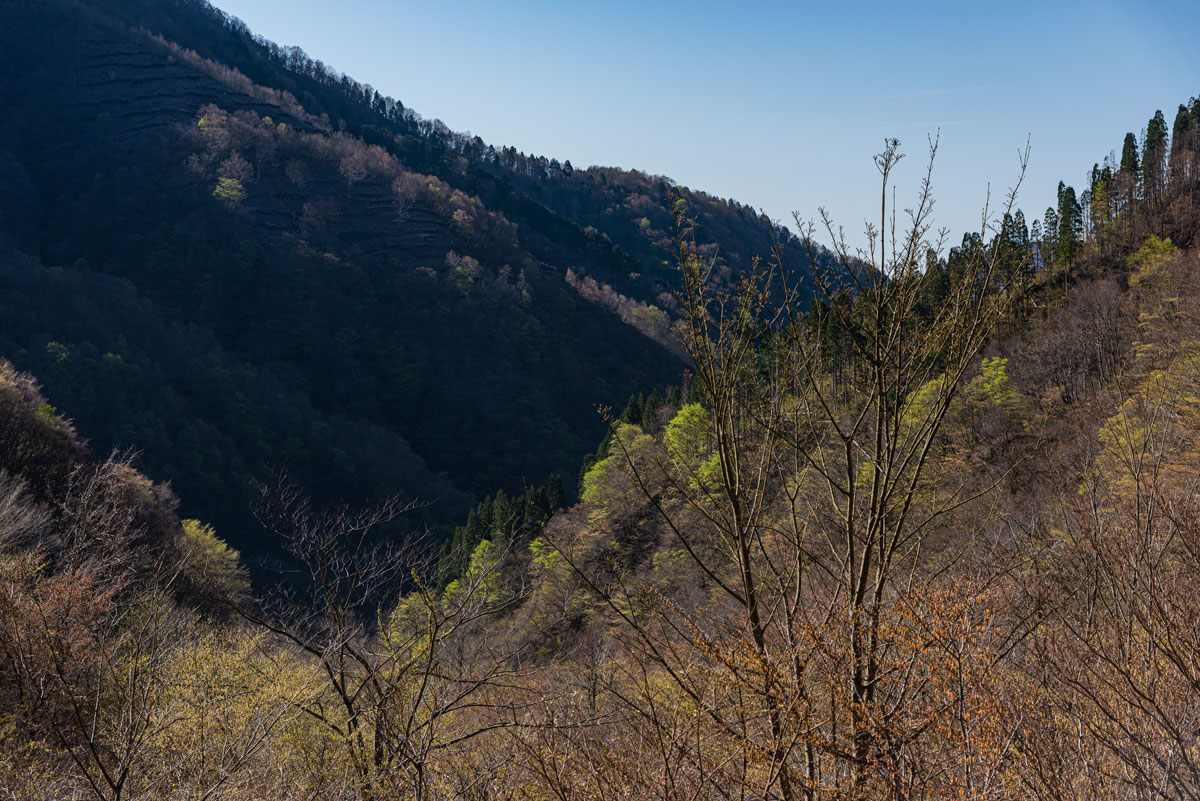f:id:somugi:20190515221240j:plain
