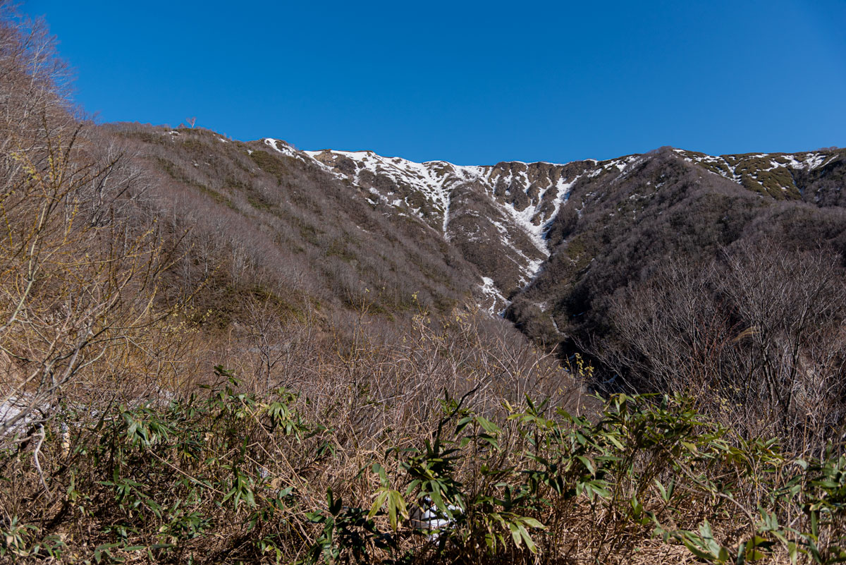 f:id:somugi:20190515221247j:plain
