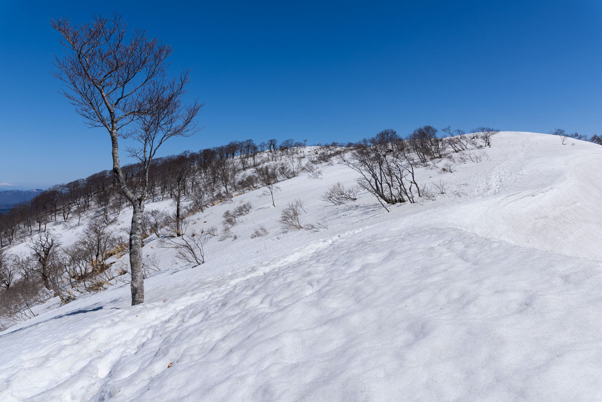 f:id:somugi:20190515221507j:plain
