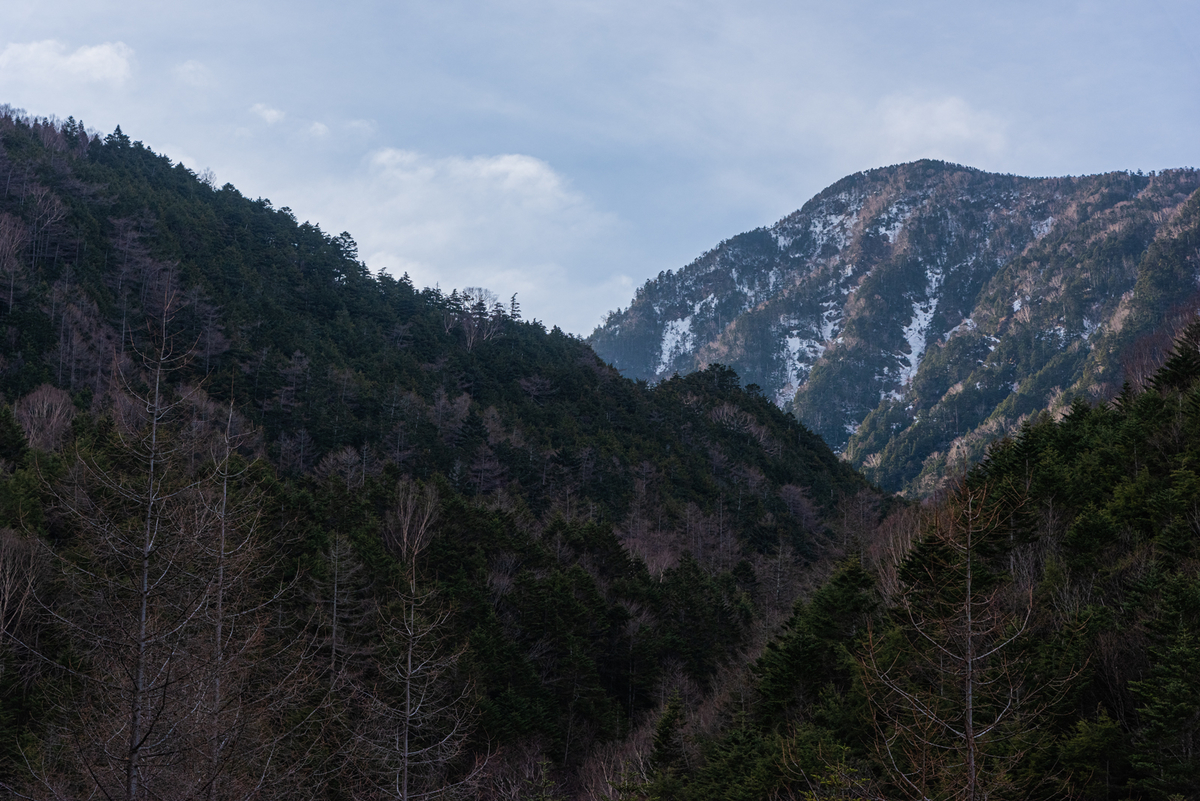 f:id:somugi:20190610004135j:plain