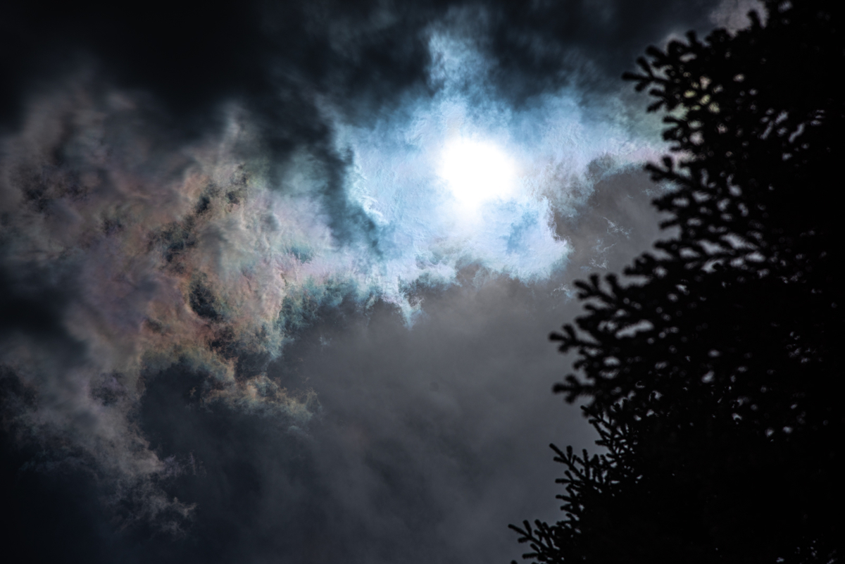 f:id:somugi:20190610004243j:plain