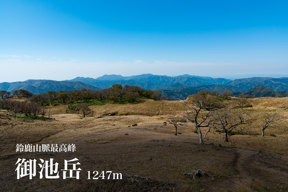 f:id:somugi:20190718205848j:plain