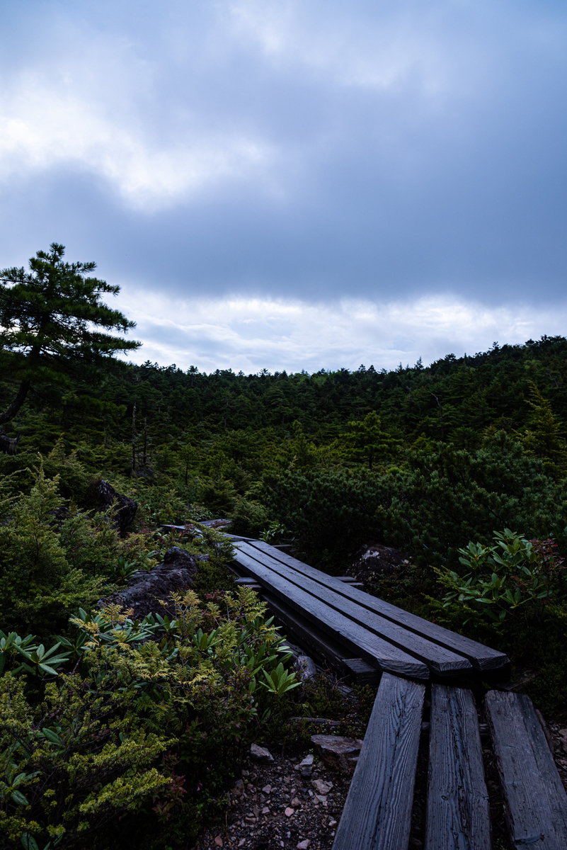 f:id:somugi:20190822220958j:plain