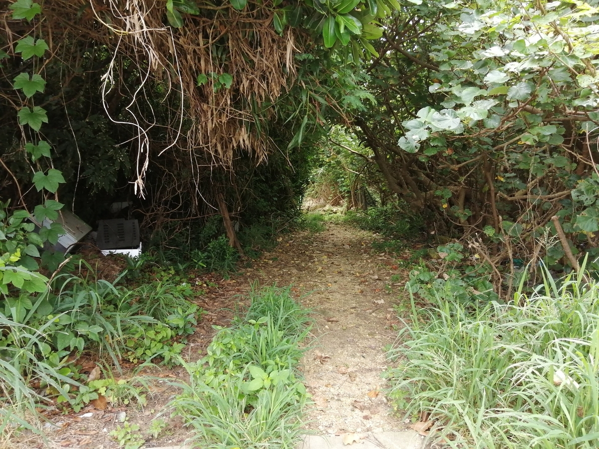 f:id:somutamu_musume3:20210514205425j:plain