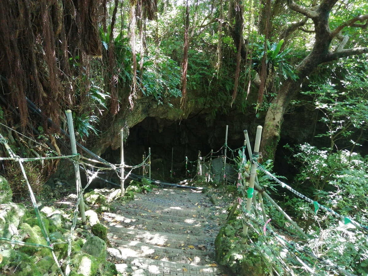 f:id:somutamu_musume3:20210514205437j:plain