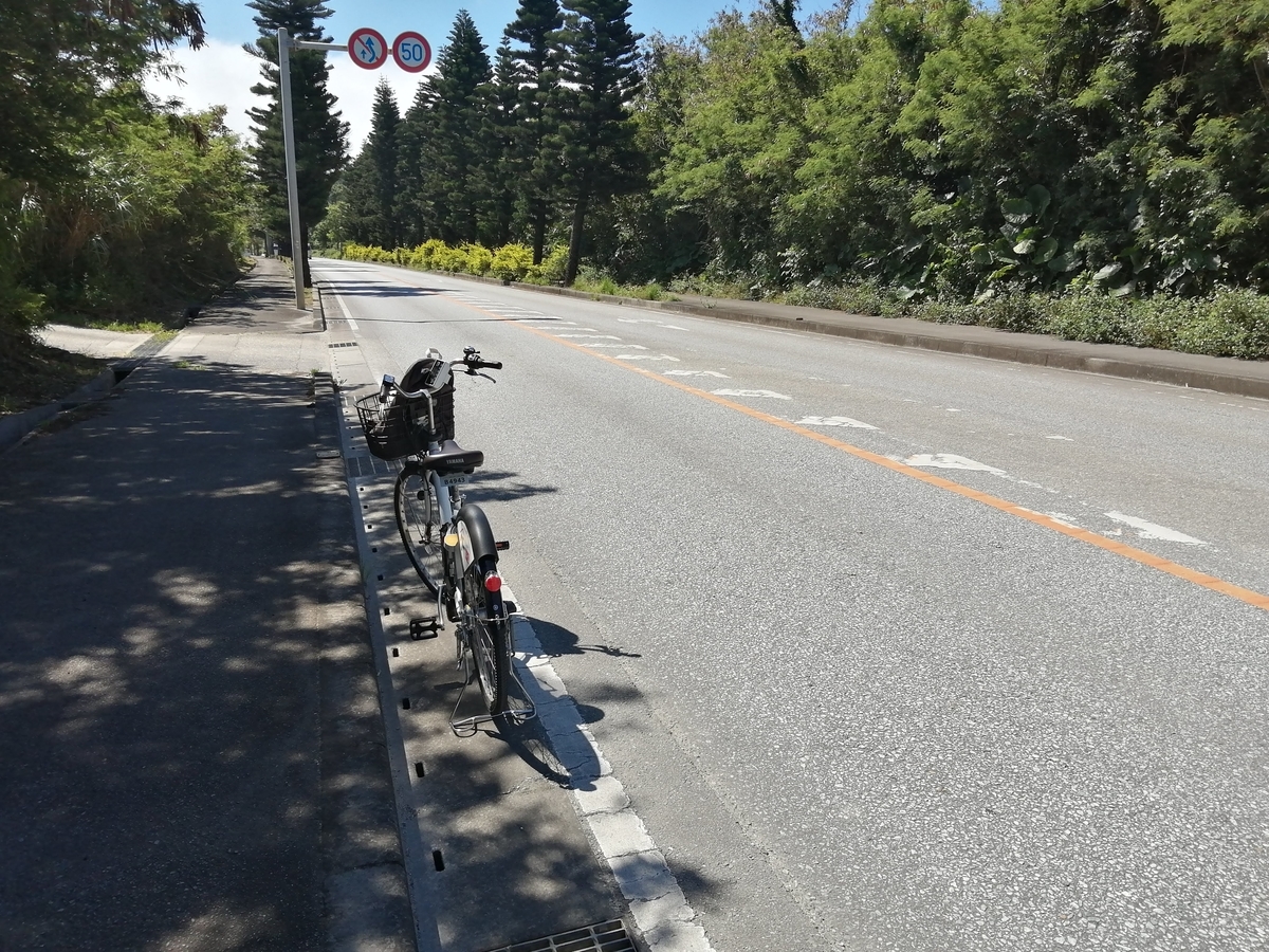 f:id:somutamu_musume3:20210514205512j:plain