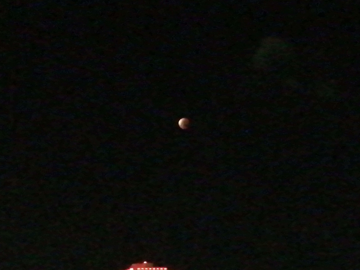 f:id:somutamu_musume3:20210528070320j:plain