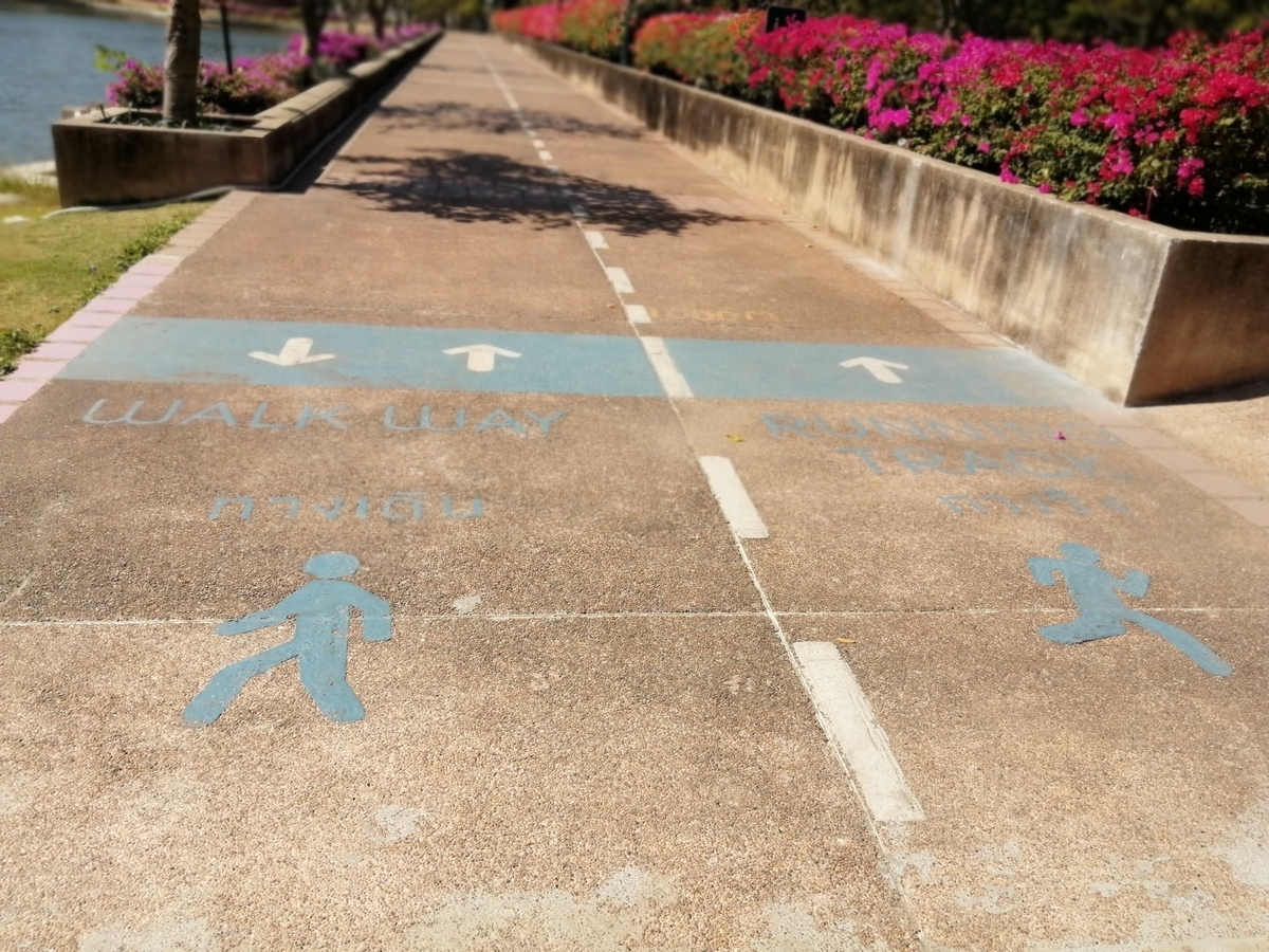 f:id:somutamu_musume3:20220104093311j:plain