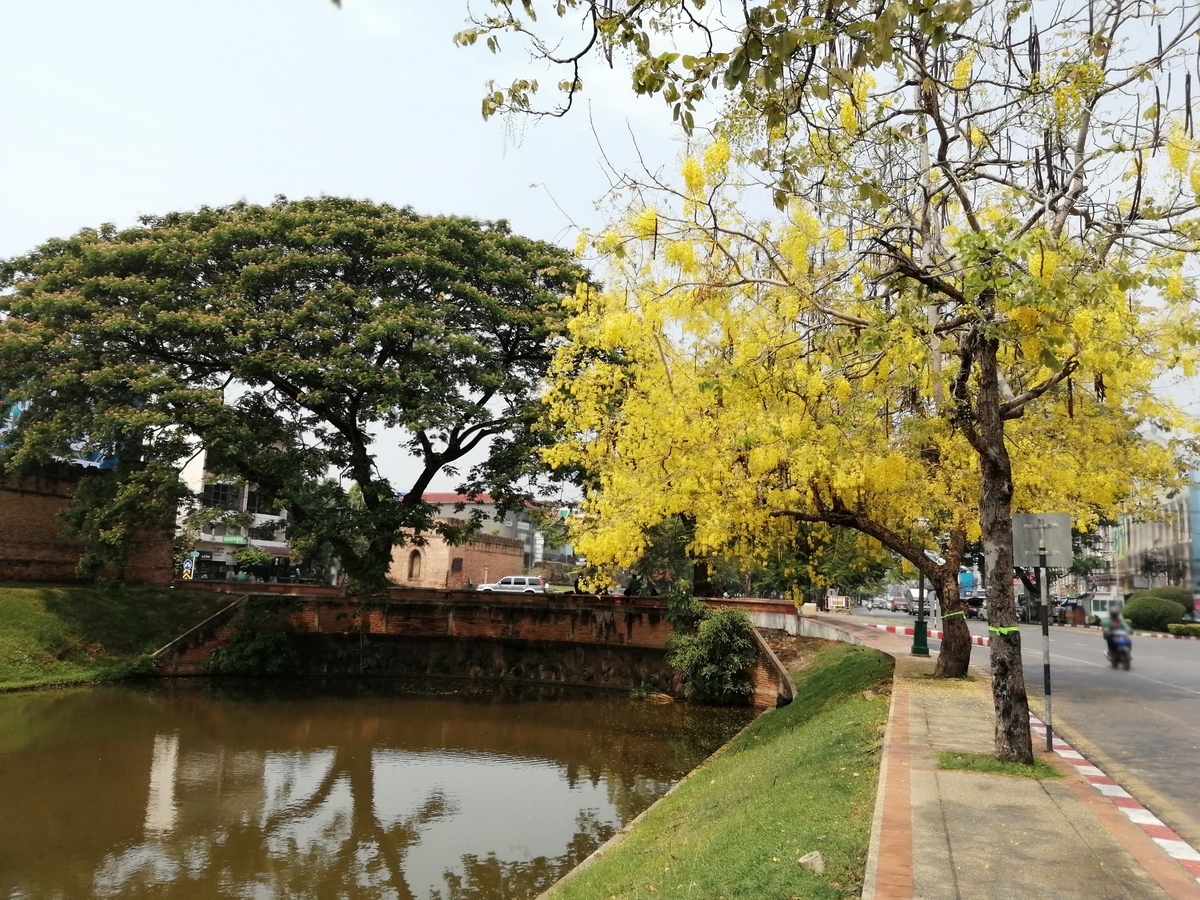 f:id:somutamu_musume3:20220409200738j:plain