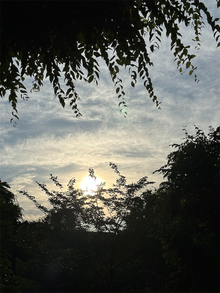 f:id:son50ohana2016:20240616210952j:image