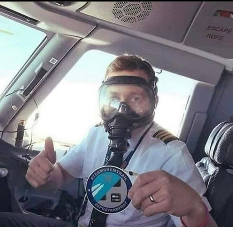 f:id:son7:20210219211047j:plain