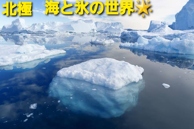 f:id:son7:20210318165123j:plain