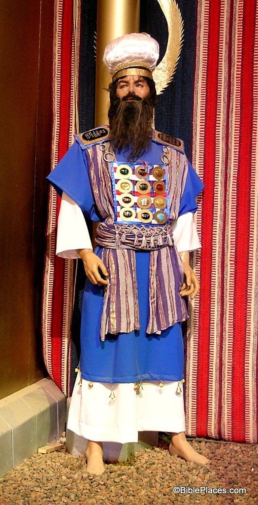 f:id:son7:20210525214618j:plain