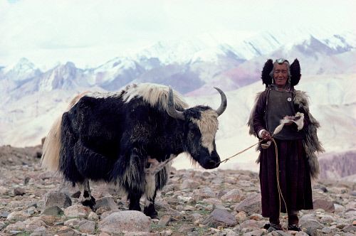 f:id:son7:20210709142943j:plain