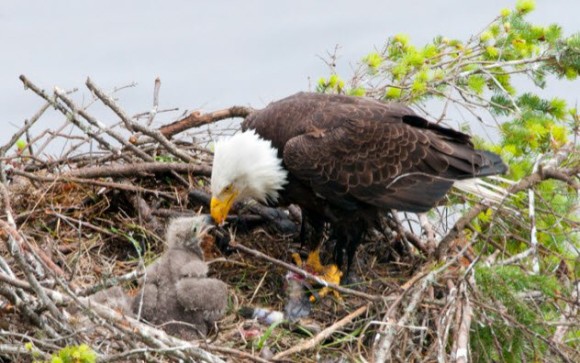 f:id:son7:20211005181757j:plain