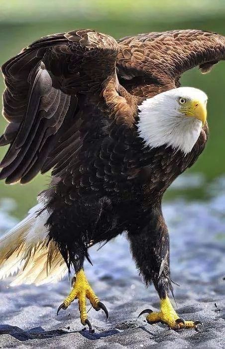 f:id:son7:20211005181827j:plain