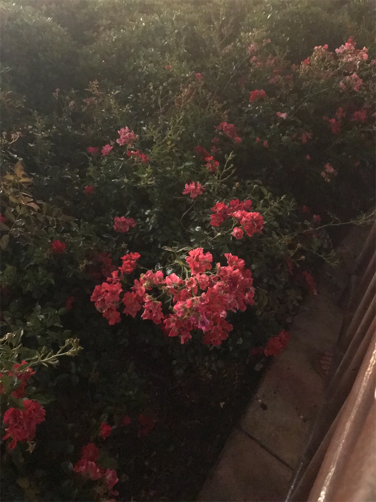 f:id:sonego:20190723215414j:image
