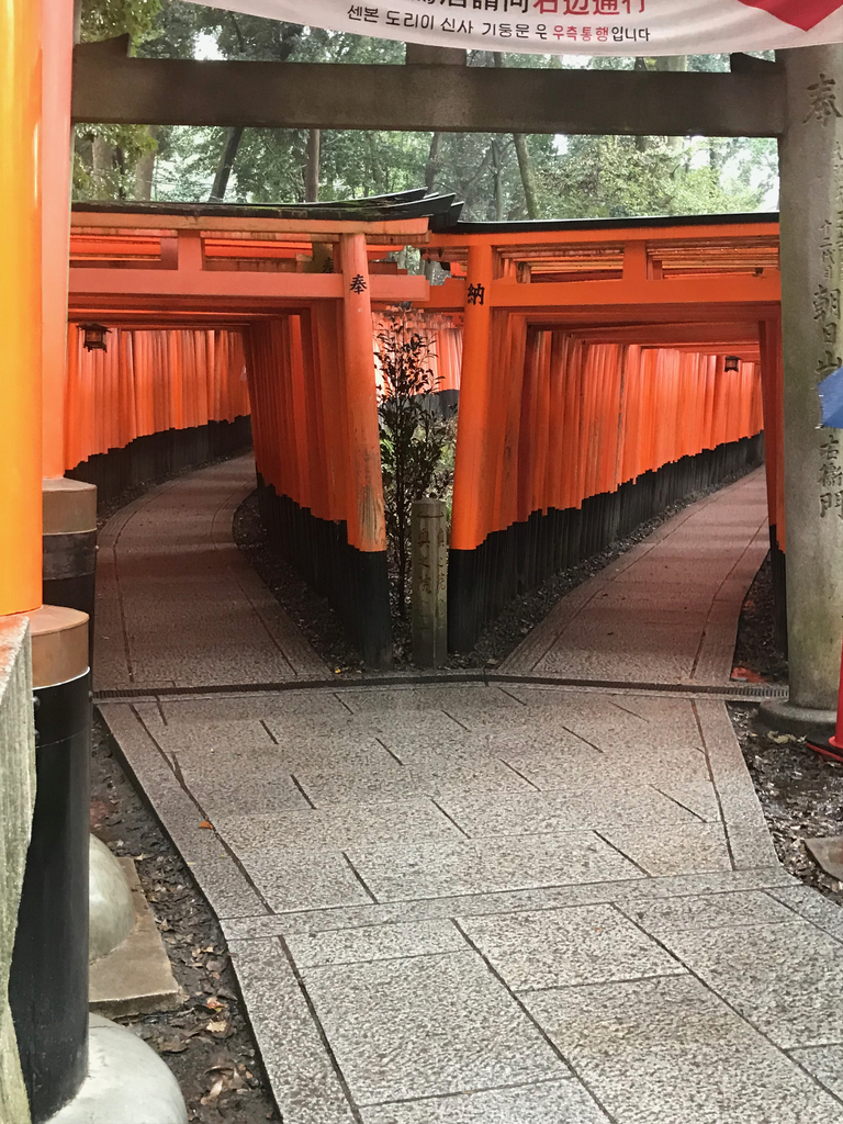 f:id:soneo_dng:20180928201948j:plain f:id:soneo_dng:20180928201948j:plain