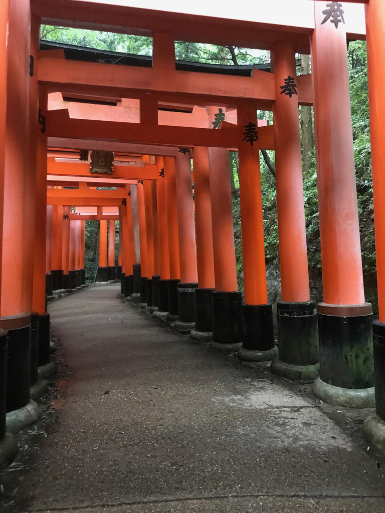 f:id:soneo_dng:20180928202153j:plain f:id:soneo_dng:20180928202153j:plain