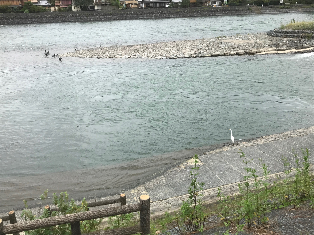 f:id:soneo_dng:20180928215727j:plain f:id:soneo_dng:20180928215727j:plain