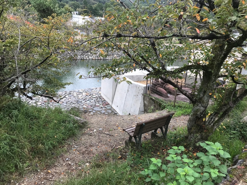 f:id:soneo_dng:20180928234330j:plain f:id:soneo_dng:20180928234330j:plain