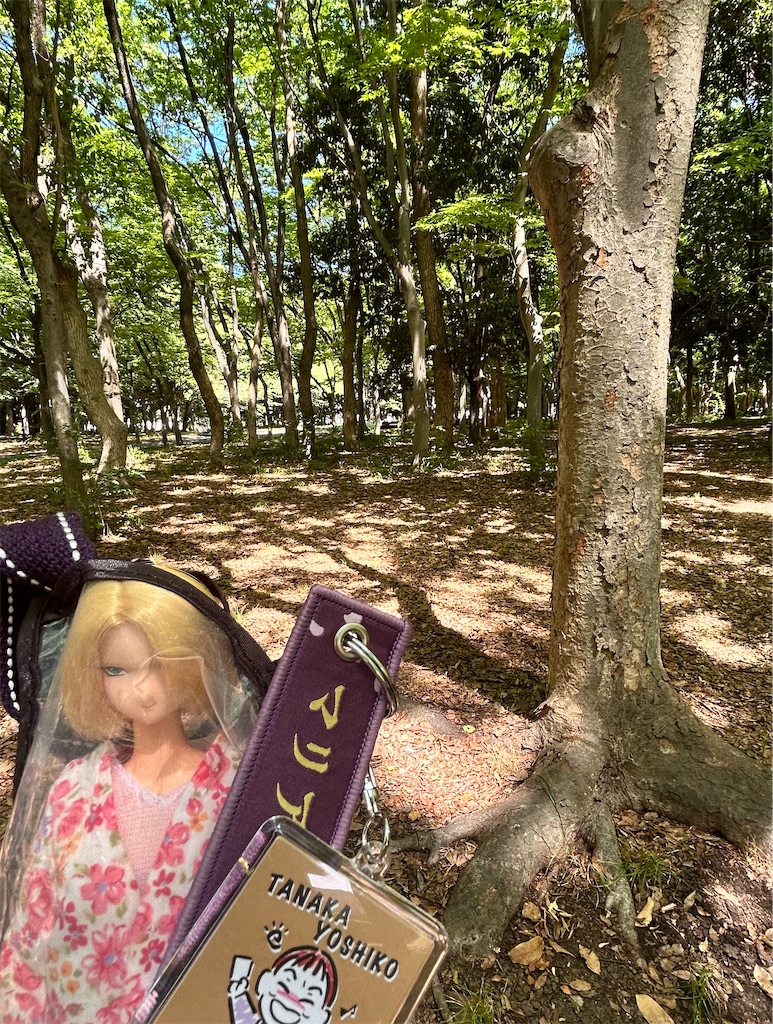 f:id:song_kimo:20260606143837j:image f:id:song_kimo:20260606143837j:image