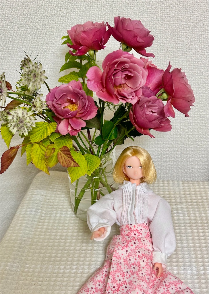 f:id:song_kimo:20260621111154j:image