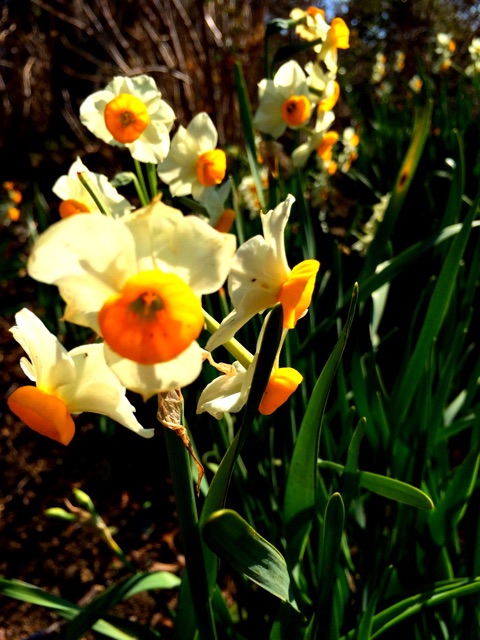 f:id:songispretty5551256:20150204123444j:plain f:id:songispretty5551256:20150204123444j:plain