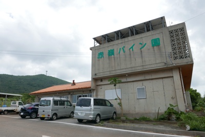 f:id:sonicpower:20201104234916j:plain