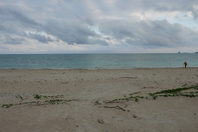 f:id:sonicpower:20201108110650j:plain