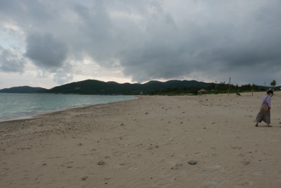 f:id:sonicpower:20201108110658j:plain