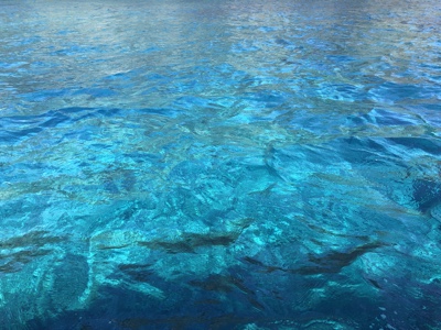 f:id:sonicpower:20201112180256j:plain