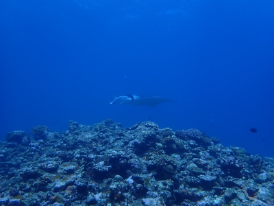 f:id:sonicpower:20201112181956j:plain