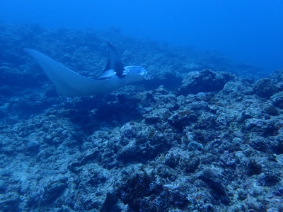 f:id:sonicpower:20201112182351j:plain