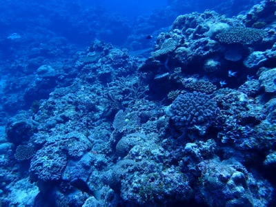 f:id:sonicpower:20201112190904j:plain