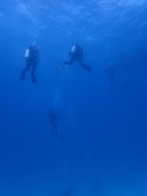 f:id:sonicpower:20201112225411j:plain