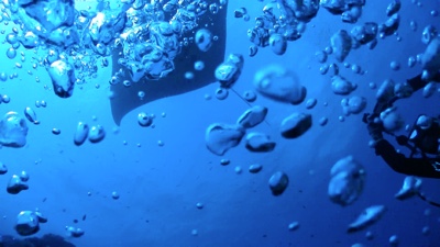 f:id:sonicpower:20201113001205j:plain