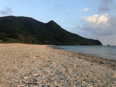 f:id:sonicpower:20201113010436j:plain