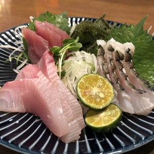 f:id:sonicpower:20201113011406j:plain