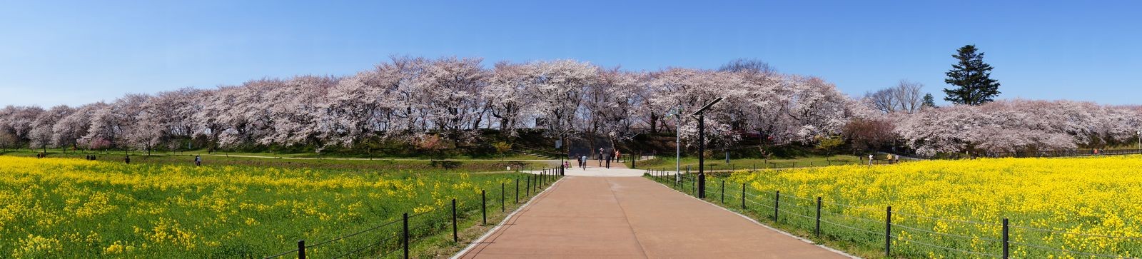 f:id:sonimap:20140331094109j:image:h120
