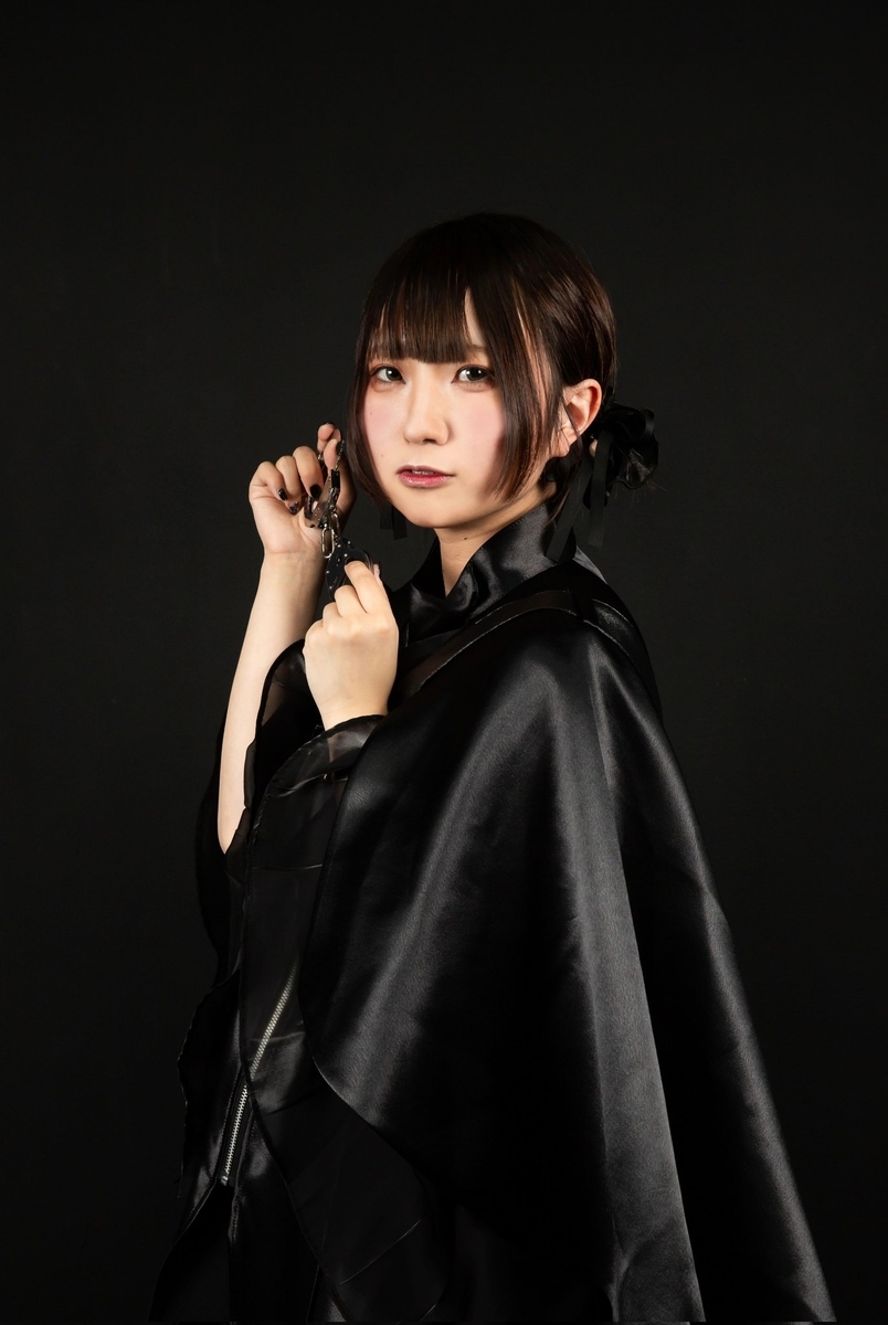 f:id:sonipa_fan:20220404085008j:plain