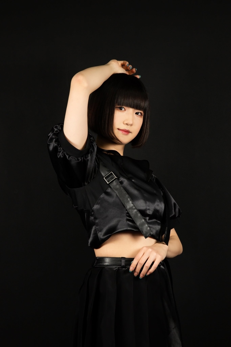f:id:sonipa_fan:20220404085229j:plain