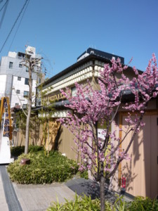 f:id:sonnakonna:20130306142107j:image:left:w200 f:id:sonnakonna:20130306142107j:image:left:w200