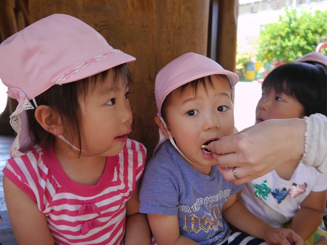f:id:sonnoubaby:20190530123930j:plain